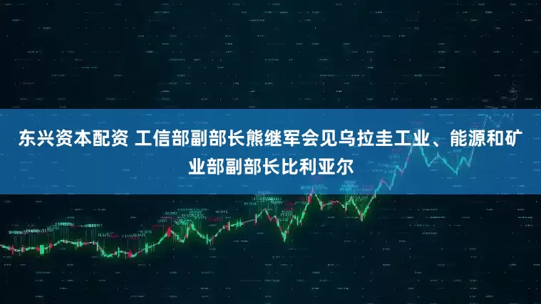 东兴资本配资 工信部副部长熊继军会见乌拉圭工业、能源和矿业部副部长比利亚尔