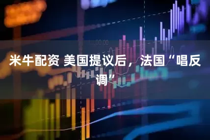 米牛配资 美国提议后，法国“唱反调”
